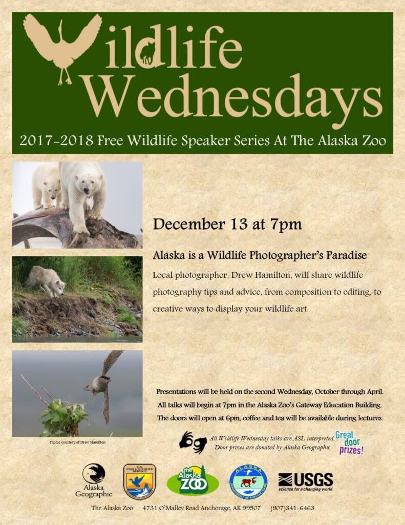 Join us Dec 13th at The Alaska Zoo for Wildlife Wednesdays