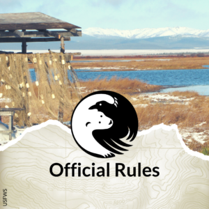 Official Rules